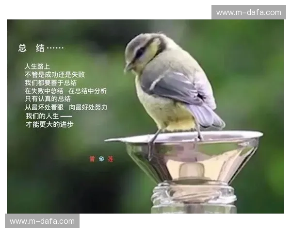 战绩频道免费:让你的努力被看见的秘密入口